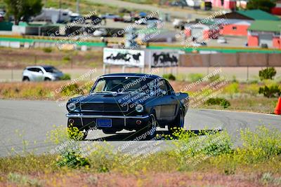 media/Apr-27-2024-LA Shelby Club (Sat) [[ca61902bd2]]/White Group/Session 1 (Turn 2)/